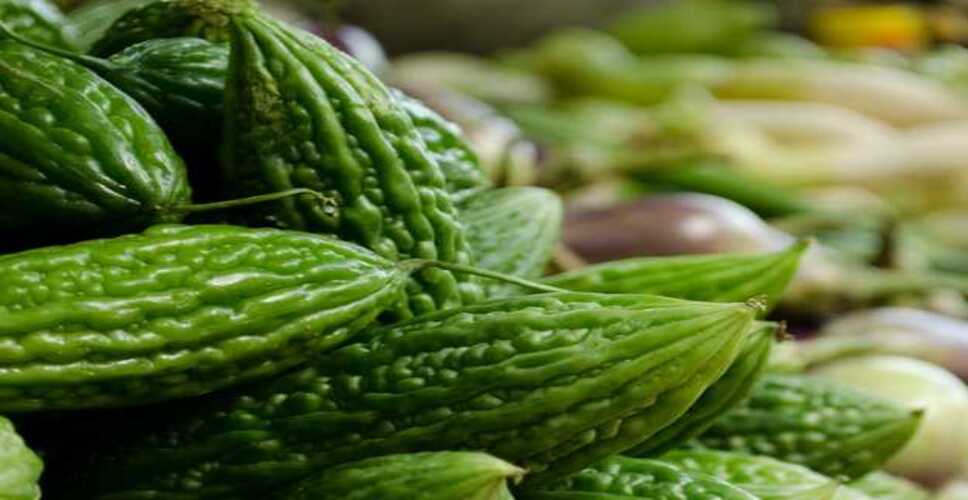 स्वास्थ्य के लिए फायदेमंद 5 कड़वी चीजें जो आपकी डाइट में होनी चाहिए