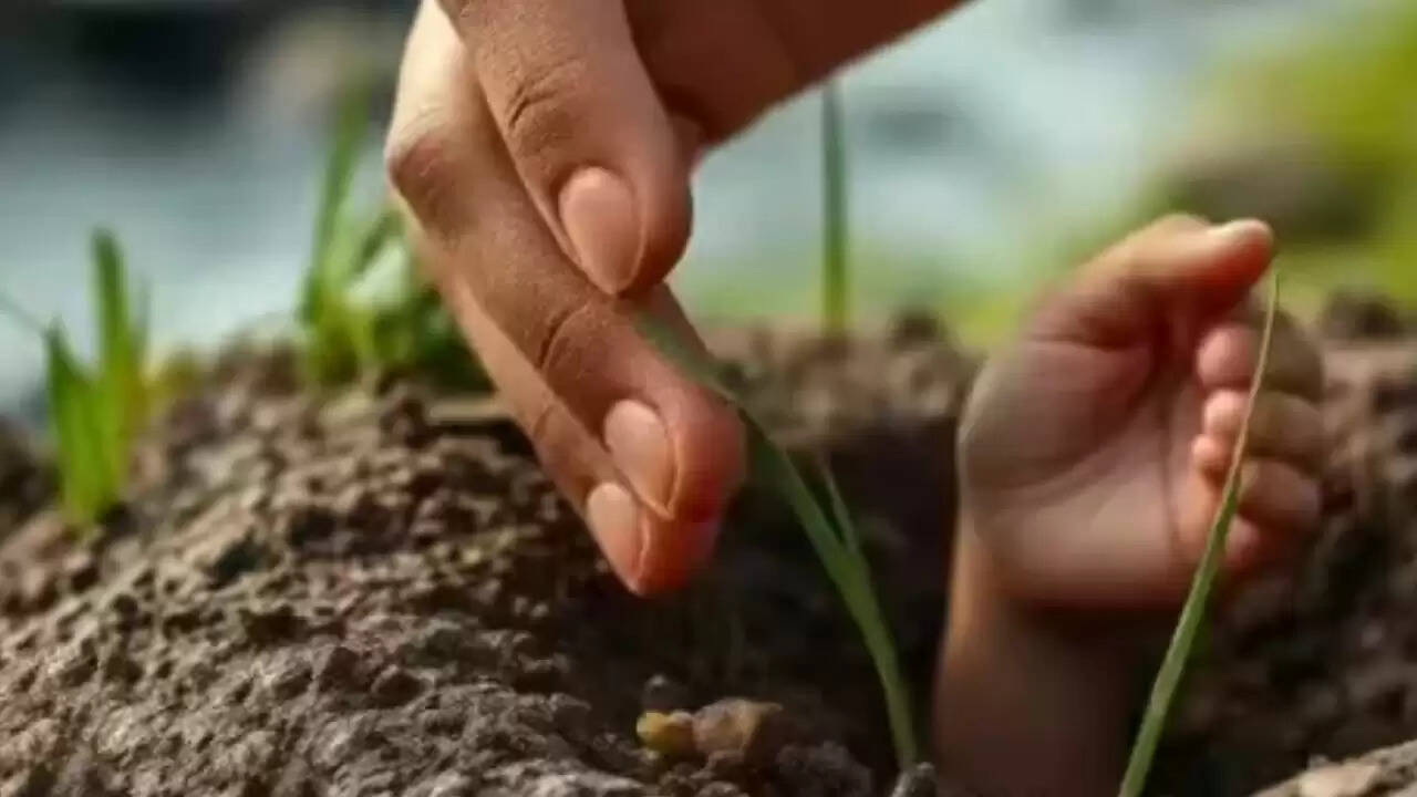 उत्तर प्रदेश में 15 दिन की बच्ची को जिंदा दफनाने की घटना
