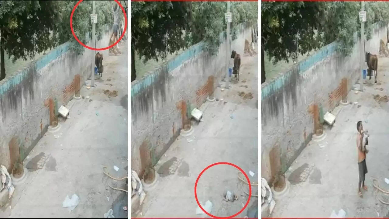 छत से गिरने वाले 9 महीने के बच्चे का दर्दनाक हादसा, वीडियो हुआ वायरल