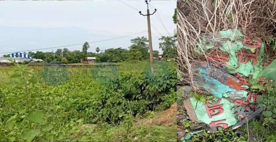 तेजपुर में हाथी गलियारे के साइनबोर्ड का ध्वंस, वन्यजीव संगठनों की चिंता