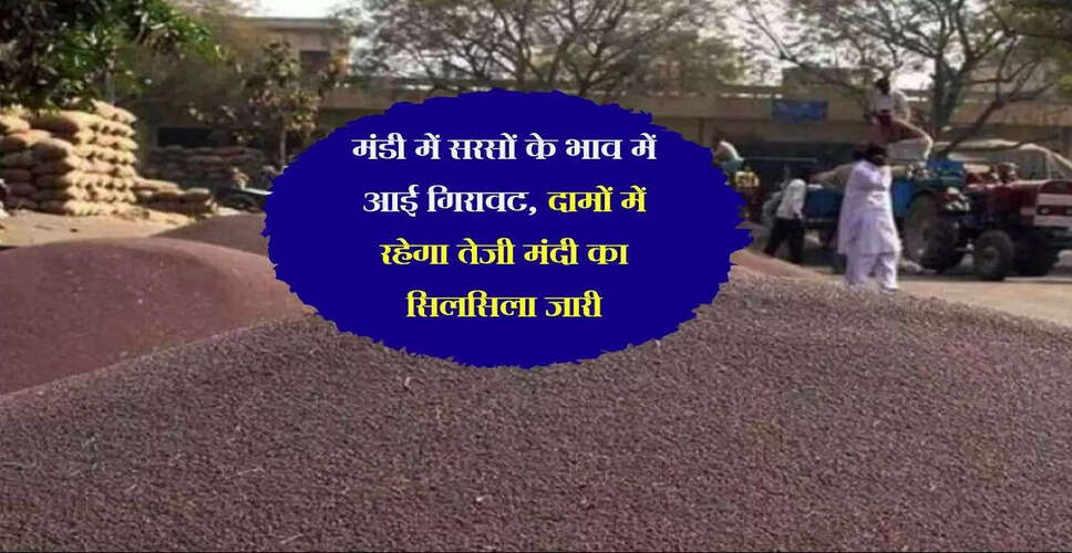 अलवर मंडी में कृषि उत्पादों के भाव में उतार-चढ़ाव जारी