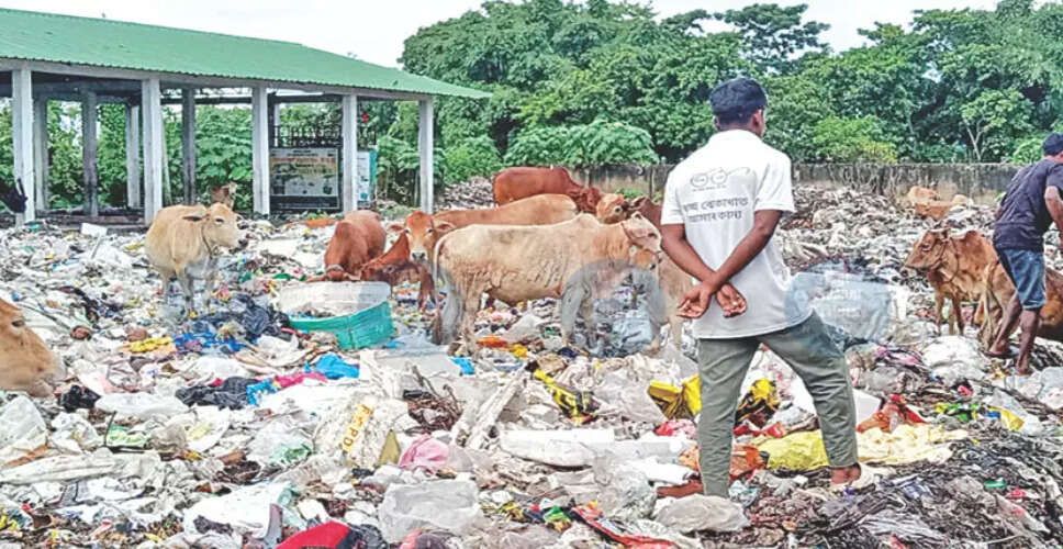 काजीरंगा नेशनल पार्क के लिए खतरा: असम प्रदूषण नियंत्रण बोर्ड ने कार्रवाई की
