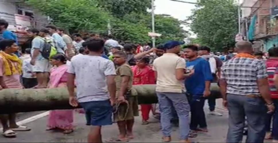नालंदा में बाइक सवार दो युवकों पर गिरा ताड़ का पेड़, हुई मौत