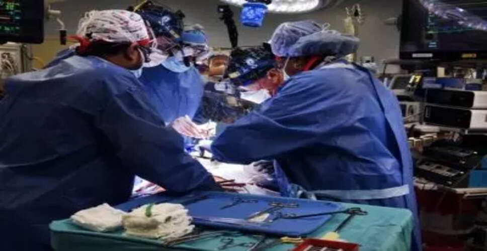 सूअर के गुर्दे के प्रत्यारोपण में मानव प्रतिरक्षा प्रणाली की भूमिका पर नई खोज
