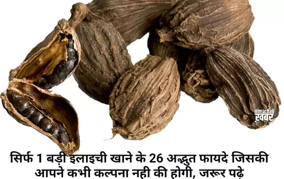 बड़ी इलायची के अद्भुत स्वास्थ्य लाभ: जानें इसके 26 फायदे