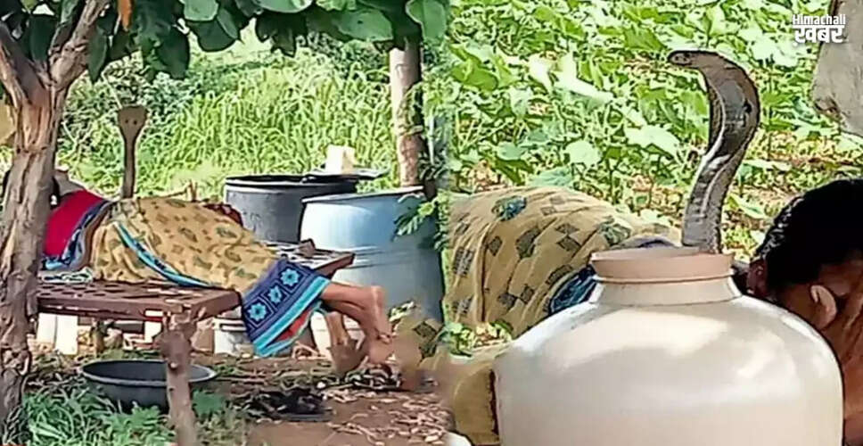 महिला पर सांप का हमला: सोशल मीडिया पर वायरल वीडियो
