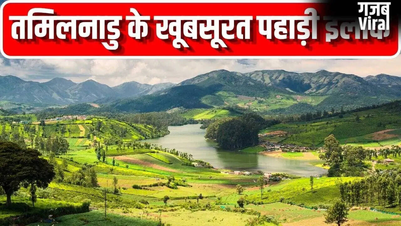 तमिलनाडु के हिल स्टेशनों की खोज: गर्मियों में घूमने के लिए बेहतरीन स्थान