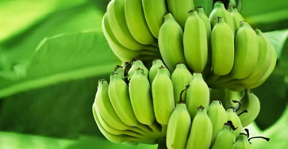 कच्चा केला: सेहत के लिए एक अद्भुत फल