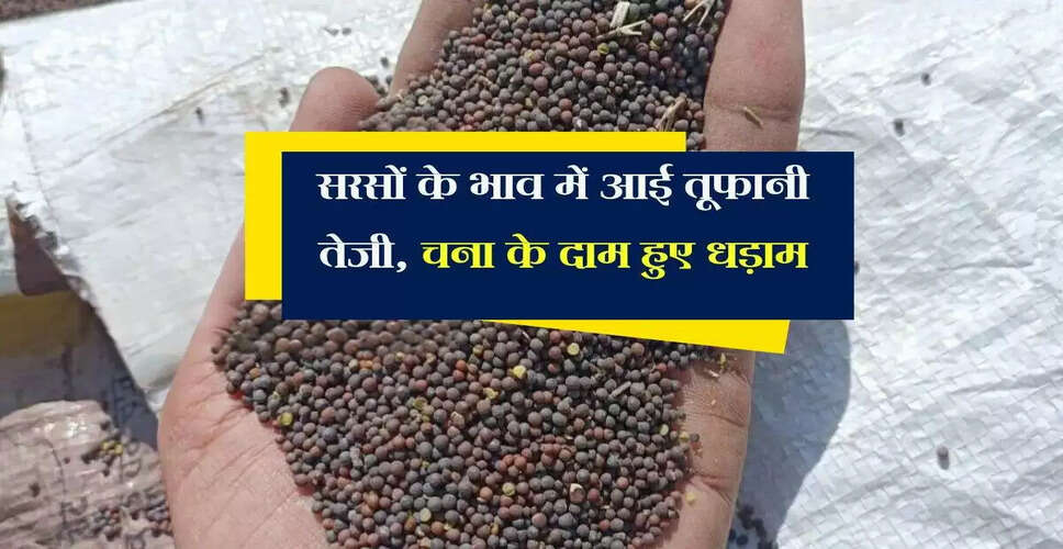 कोटा मंडी में कृषि जिंसों की आवक में कमी, भावों में उतार-चढ़ाव