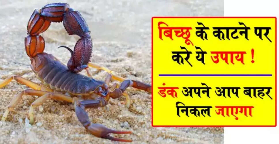 बिच्छू के काटने का उपचार: जानें लक्षण और होम्योपैथिक उपाय