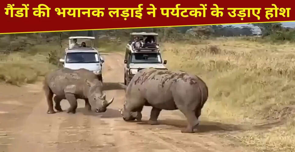 गैंडों की खतरनाक लड़ाई का वायरल वीडियो, पर्यटकों में मची अफरा-तफरी