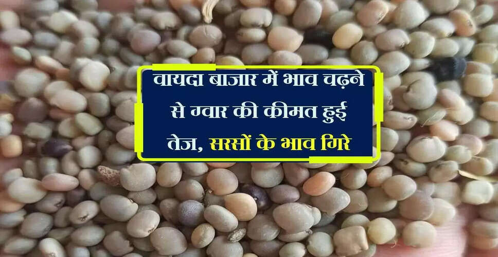 जयपुर मंडी में कृषि उत्पादों के भाव में उतार-चढ़ाव