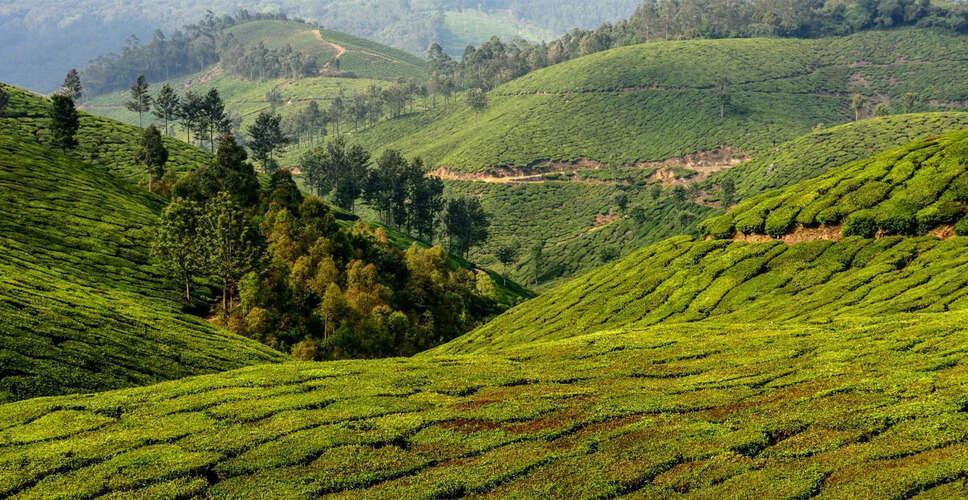 केरल: इतिहास, आंदोलन और राजनीतिक सफर की कहानी