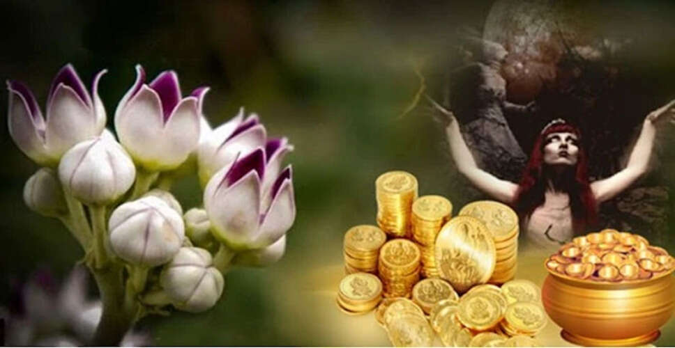 आक पौधे के जादुई टोटके: धन और सुख-शांति के लिए उपाय