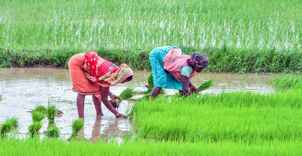 किसानों के लिए प्रधानमंत्री फसल बीमा योजना: अंतिम तिथि नजदीक