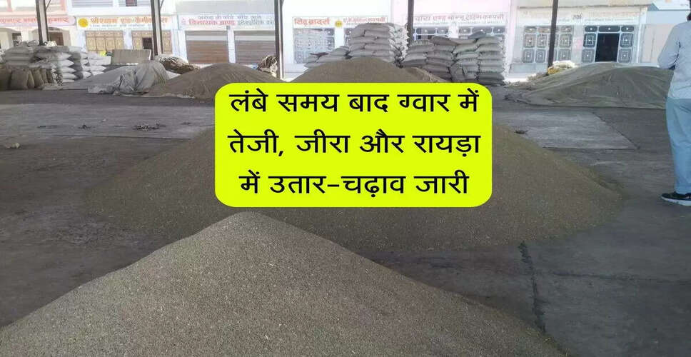 मेड़ता मंडी में कृषि फसलों के भाव में उतार-चढ़ाव
