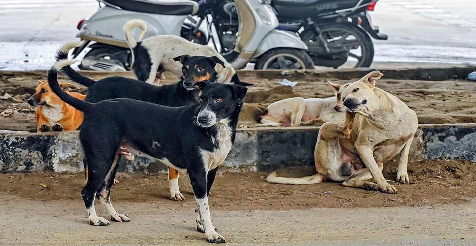 कर्नाटक विधान परिषद में आवारा कुत्तों पर विवादास्पद टिप्पणी