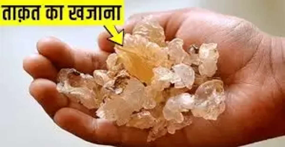 बबूल की गोंद: स्वास्थ्य के लिए अद्भुत लाभ