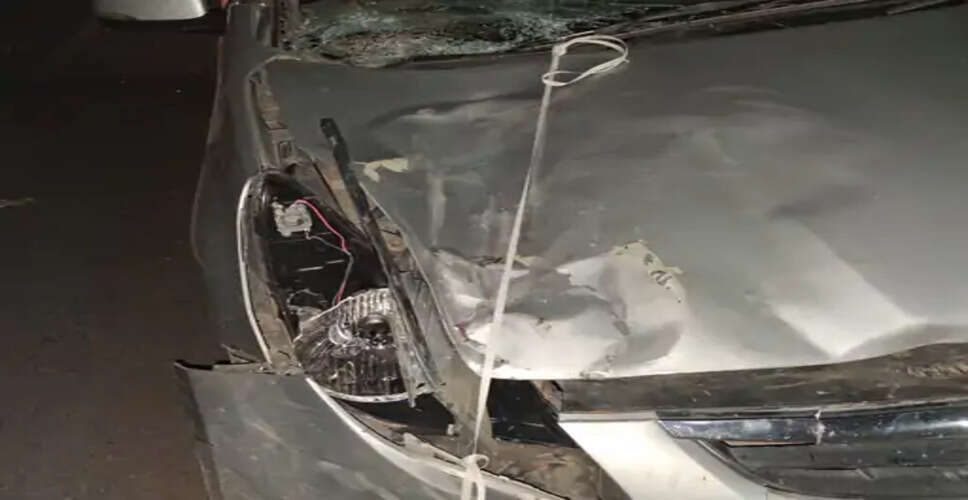 जयपुर में सड़क पर नंदी से टकराई तेज रफ्तार कार, चालक घायल