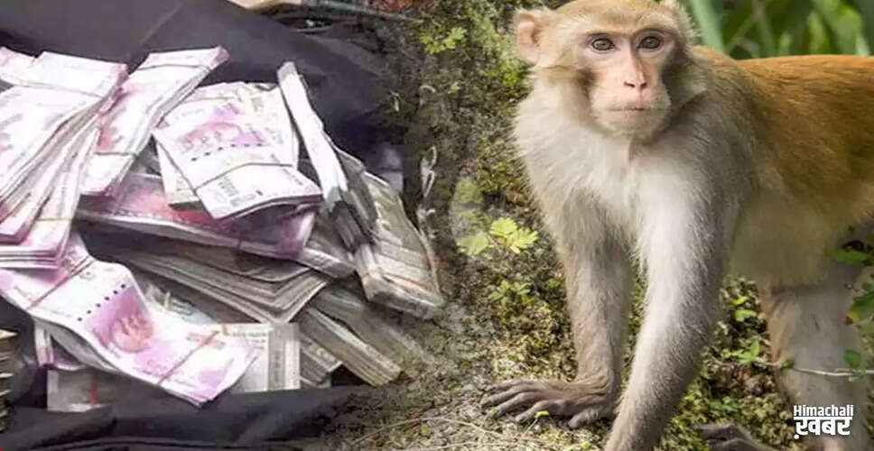 उत्तर प्रदेश में पेड़ से गिरते पैसे ने मचाई हलचल