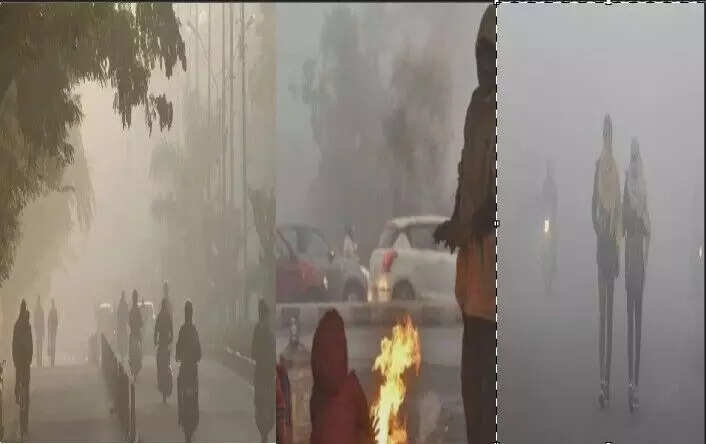 मध्यप्रदेश में कड़ाके की सर्दी और घने कोहरे का असर