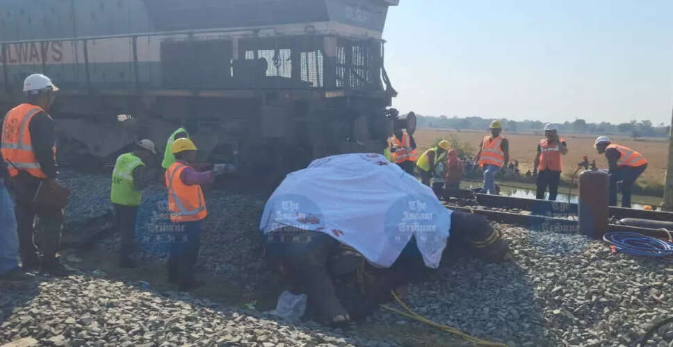 असम में ट्रेन से हाथियों की मौत: सुरक्षा उपायों की आवश्यकता