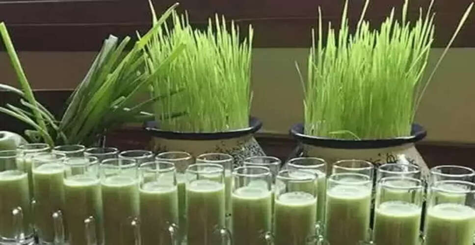 गेहूँ के ज्वारे का रस: स्वास्थ्य के लिए चमत्कारी उपाय