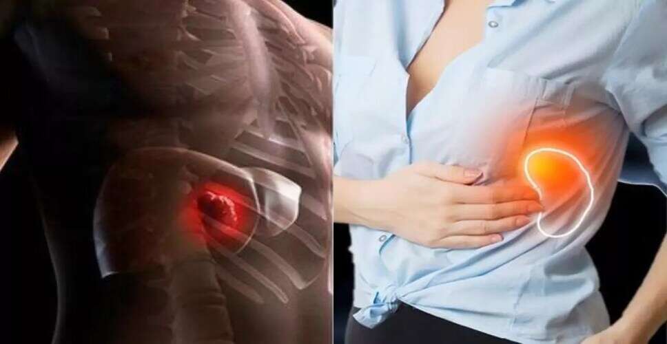 लीवर के लिए हानिकारक खाद्य पदार्थ: क्या न खाएं?