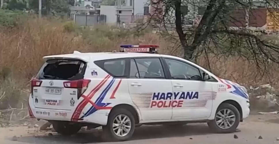 हरियाणा की मॉडल शीटल चौधरी की हत्या की आशंका, शव नहर में मिला