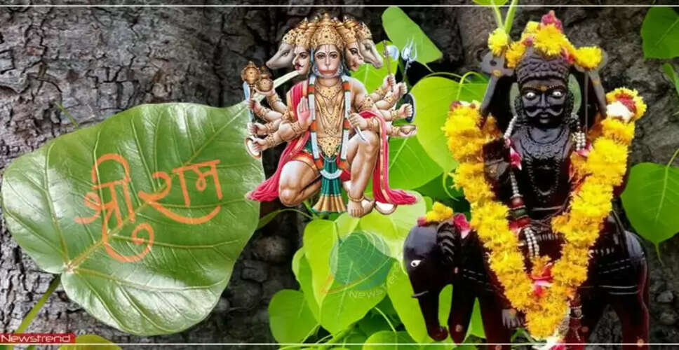 पीपल के पेड़ के चमत्कारी उपाय: शनि और पितृ दोष से मुक्ति