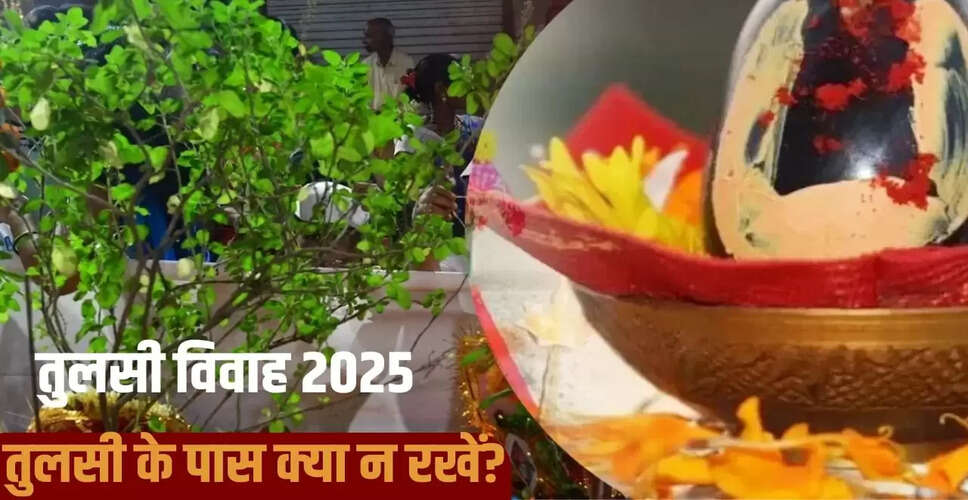 तुलसी विवाह 2025: जानें किन चीजों को तुलसी के पास नहीं रखना चाहिए