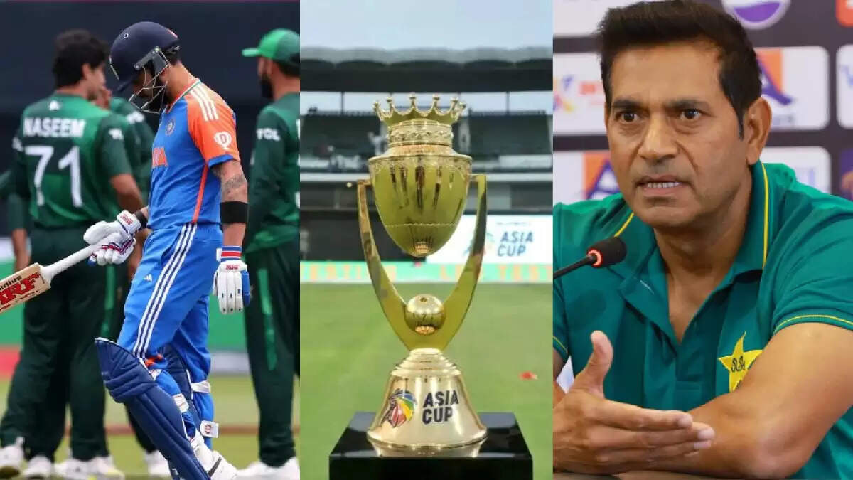 पाकिस्तान के चयनकर्ता ने Team India को दी चुनौती, कहा 'हम उन्हें आसानी से हराएंगे'