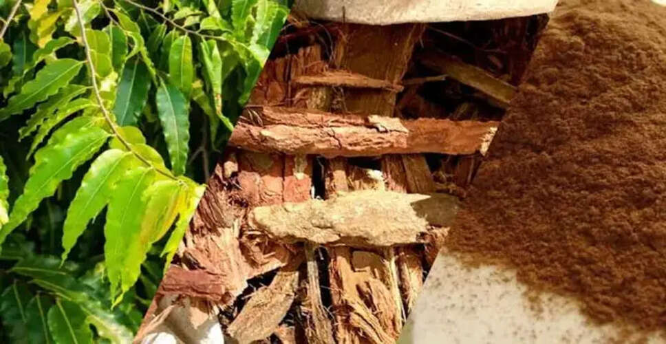 गर्भाशय को मजबूत करने के लिए 4 घरेलू उपाय