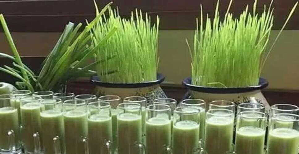 गेहूँ के ज्वारे: स्वास्थ्य के लिए एक चमत्कारी उपाय