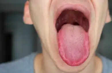 सामुद्रिक शास्त्र: जीभ के आकार से जानें व्यक्तित्व के राज