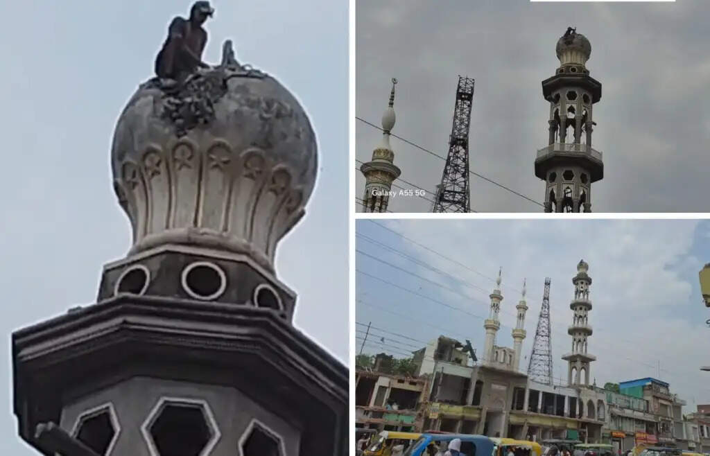 चंदौली में 50 साल पुरानी मस्जिद के अवैध हिस्से को हटाने की कार्रवाई