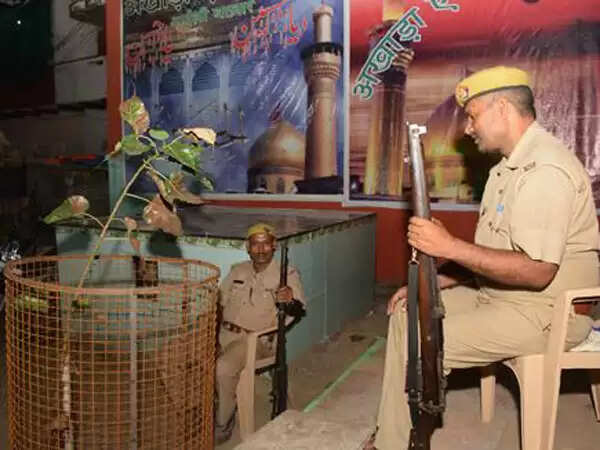 यूपी पुलिस की अनोखी पहल: पीपल के पौधे की सुरक्षा में तैनात
