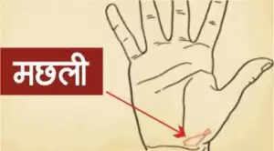 हाथों के भाग्यशाली चिन्ह: जानें आपके भविष्य के बारे में