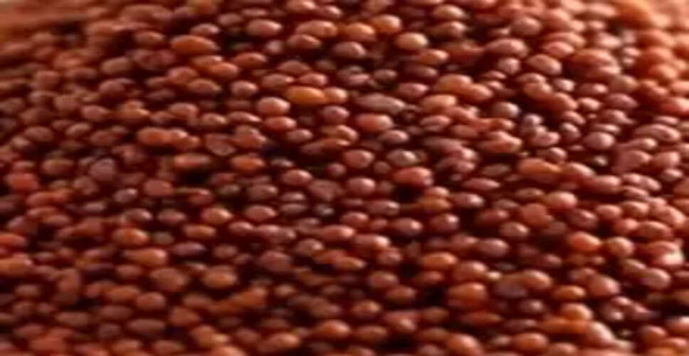 दिल को स्वस्थ तो पेट को मस्त रखता है ‘रागी’, शुगर पेशेंट के लिए वरदान से कम नहीं