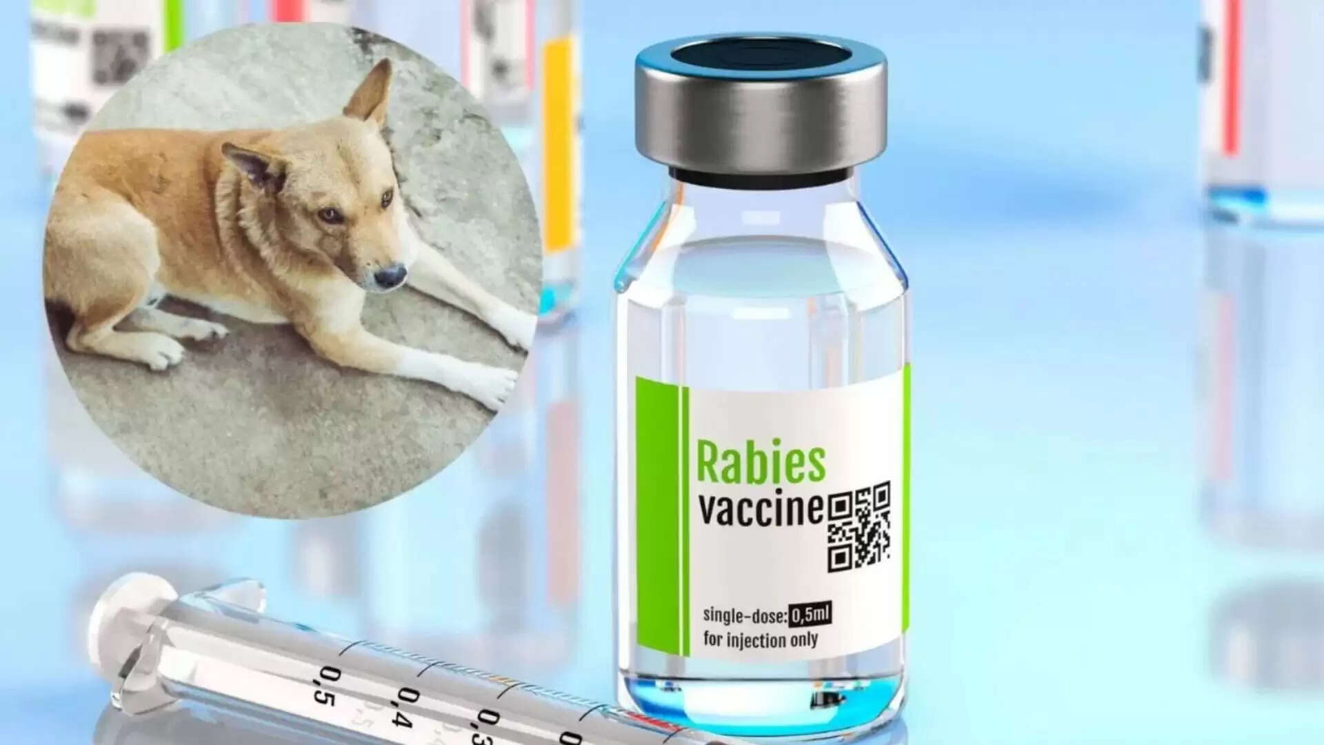 भारत में रेबीज वैक्सीन पर विवाद: ऑस्ट्रेलिया की चेतावनी और कंपनी की प्रतिक्रिया