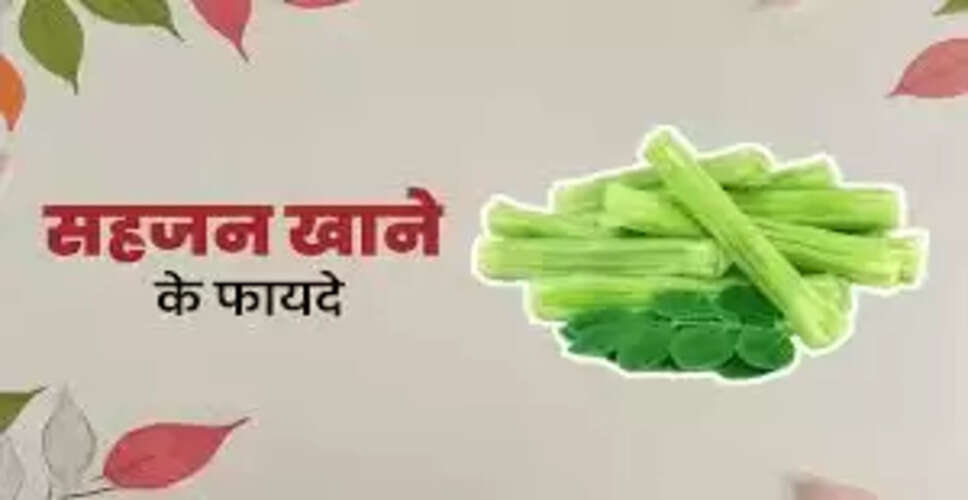 सहजन: स्वास्थ्य के लिए चमत्कारी पौधा और इसके अद्भुत लाभ