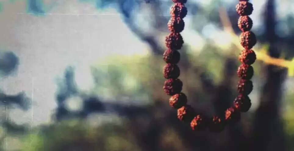 रुद्राक्ष: लाभ और प्रकारों की जानकारी