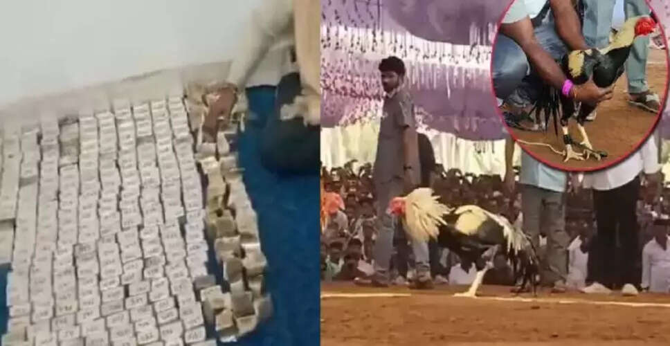 आंध्र प्रदेश में मुर्गा लड़ाई में जीती गई 1.53 करोड़ की राशि