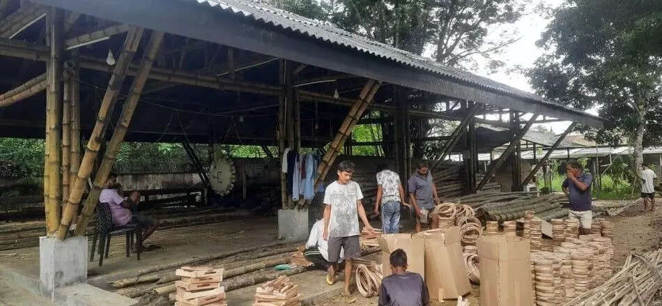 असम के उद्यमियों की नई लहर: परंपरा और नवाचार का संगम