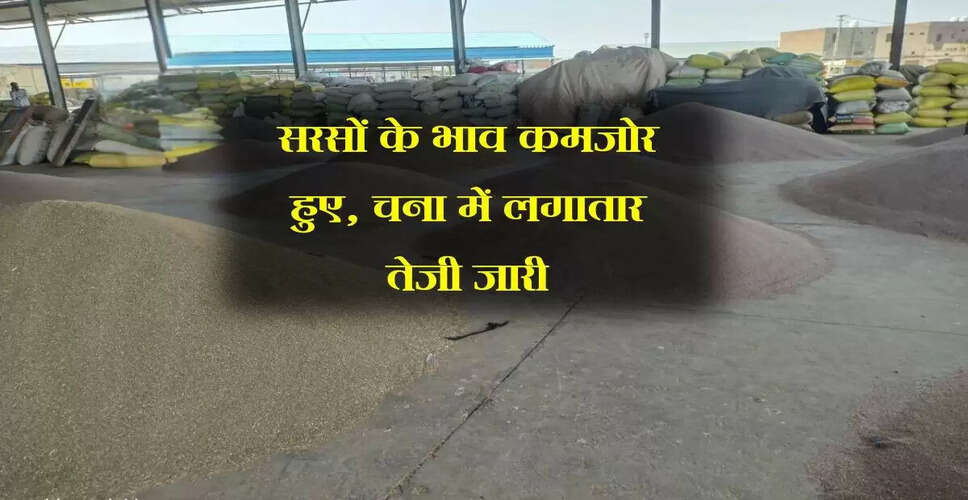 जयपुर और भरतपुर मंडी में कृषि जिंसों के भाव में बदलाव