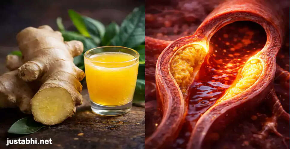 हार्ट ब्लॉकेज से बचने के सरल उपाय और आयुर्वेदिक जड़ी-बूटियाँ