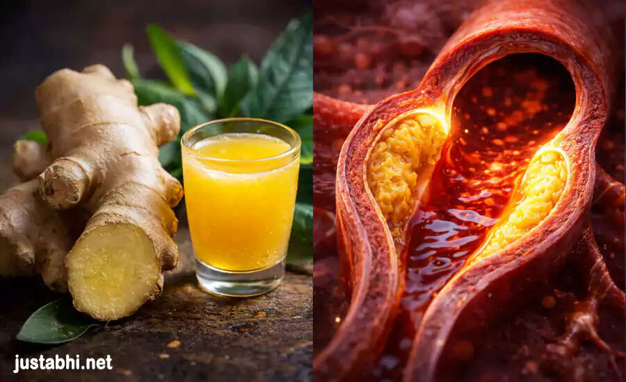 हार्ट ब्लॉकेज से बचने के सरल उपाय और आयुर्वेदिक जड़ी-बूटियाँ