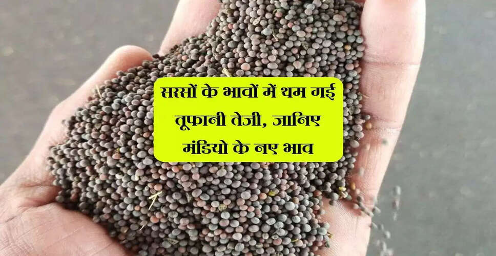 सरसों के भाव में उतार-चढ़ाव: जानें विभिन्न मंडियों के ताजा रेट