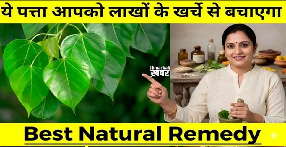 पीपल के पत्तों के अद्भुत स्वास्थ्य लाभ और उपयोग
