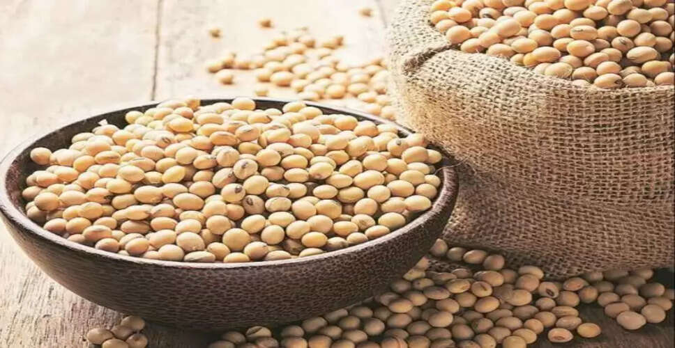 सोयाबीन: पोषण का खजाना और इसके संभावित नुकसान